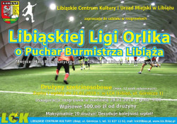 liga orlika